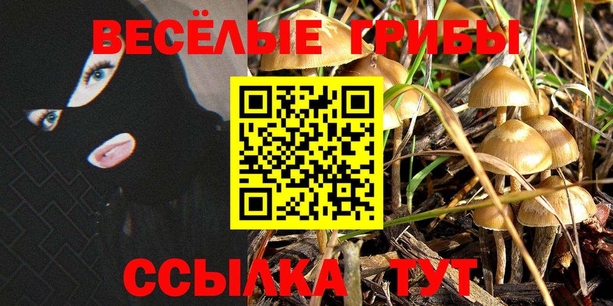 Биробиджан  даркнет сайт  Галлюциногенные грибы ЛСД  Вход с VPN  Галлюциногенные грибы Psilocybine cubensis 